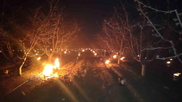 Çukurova’da Don Tehlikesi: Üreticiler Gece Boyu Bahçede Nöbet Tuttu